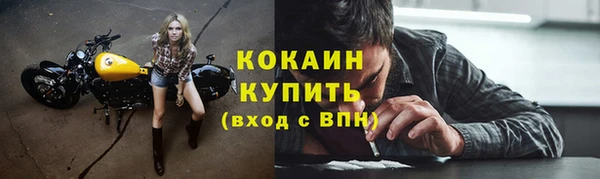 дмт Богородск