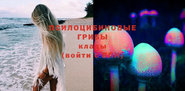 дмт Богородск