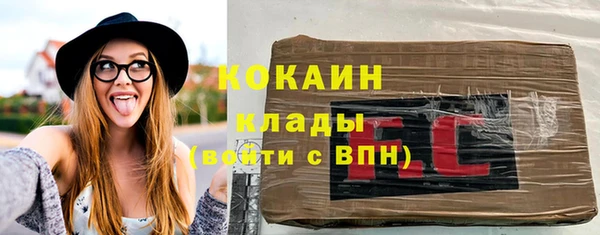 дмт Богородск