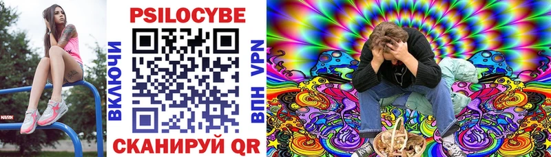blacksprut как зайти  цена   Боготол  Псилоцибиновые грибы мухоморы 
